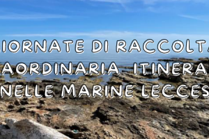 Marine di Lecce: giornate di raccolta straordinaria per rifiuti ingombranti